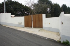DSC01884